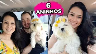 VLOG - 6 Aninhos da Cocada!  #ShihTzu