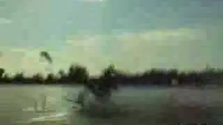 Mark Weikel of Gatorboards