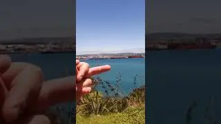 tsunami in New zealand Northland