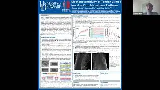 Mechanosensitivity of Tendon using a Novel In Vitro Microtissue Platform ORS 2024