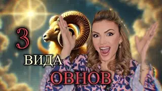 Три вида Овнов. Положение Меркурия у Овнов.