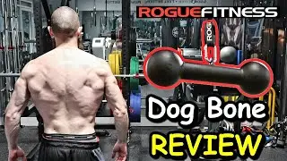 My REVIEW of the ROGUE Fitness DOG BONE Pull Up Bar | Increase GRIP STRENGTH