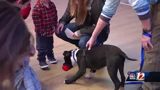 Greensboro Science Center teams up with animal rescue, foster programs for 'Fur-st Saturdays'