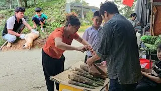 The departure of the yellow dog is mysterious, along with the boy who got the giant bamboo shoot