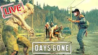 Hunting hordes of freaks. Surviving the game Days Gone.