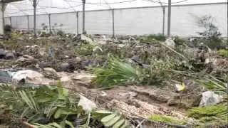 Weather crisis hits the State of Palestine