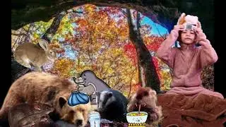Bear Feels Sick by Karma Wilson narrated by Eira