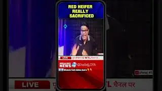 &ldquo;Temple Institute ने छुपाया सच! लाल बछिया का असली बलिदान हो चुका है 😱&rdquo; | RED HEIFER SACRIFICED.