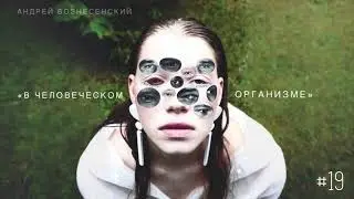 &laquo;В человеческом организме&raquo; - Андрей Вознесенский / Настя Орлик Читает 
