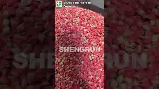 Double-color Puffed Dry Pet Food (Dog Kibbles, Cat Food) Production