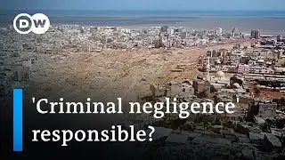 'Perfectly happy to rule over the rubble' Are Libyan leaders responsible for thousands of deaths?