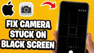 Как исправить зависание камеры на черном экране iPhone &mdash; самое быстрое руководство