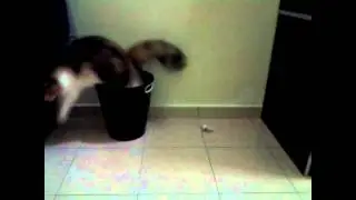 When Heebum meeta a bucket