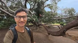 Travel Tunisia 🇹🇳 Belvedere Park, Tunis Zoo and Louage Ride to Sousse