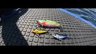 Bass Fishing Vault Micro Vibration