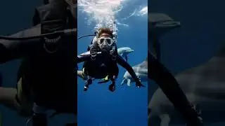 A Dream Come True 🐬💙 #oceanmagic