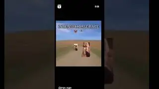 İntense horse race meme gay