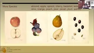 SCFS 03-11-2021 Historic Orchards with Susan Dolan