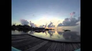 From Borneo With Love