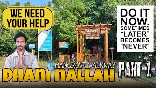 DHANI NALLAH MANGROVE NATURE WALKWAY[Part-1] Flora and Fauna #dhaninallah #betapur#theamazingandaman