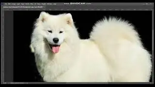 #photoshopwork