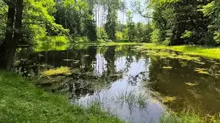 Von Kleintaxen nach Mařiž Runde (nördl. Waldviertel)