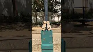 These heels are rocking in India 💥| Trending women shoes 2025 #espadrilles #youtubeshorts #fashion
