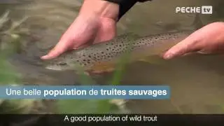 Teaser P&ecirc;cher sur la Ternoise