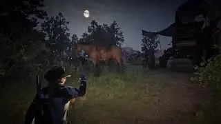 RDO | nho | LOOTIN'LU: set 'sploring  | collecting | Fizz@[PLAY]