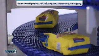 Hygienic Spiral Conveyor for Frozen Foods