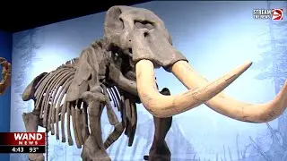 Around the 217: Unearthing Illinois' living history at the State Museum