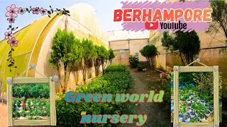 বহরমপুরের মধ্যে সব থেকে বড়ো পলিহাউস নার্সারী ||Green house ||