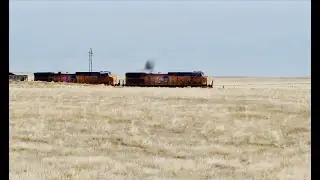 UNION PACIFIC early spring 2011 view of another coal train heading out of Powder River basin, WY