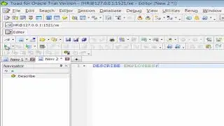Oracle Describe