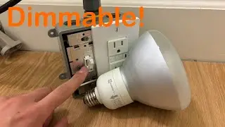 Ecosmart (TCP) 19w dimmable R40 CFL light bulb
