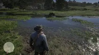 Red dead 2 teste