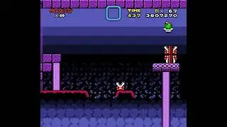 Stadium of Plants (Secret Exit) - VLDC 9