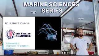 Marine Science: Predator Avoidance 2/7