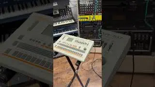 Roland TR707 demo