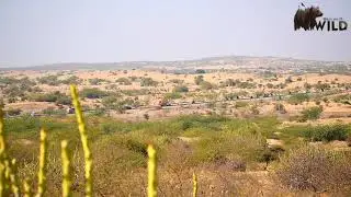 Ramrath relly at Vanki (Mundra) Kutch - Gujrat India