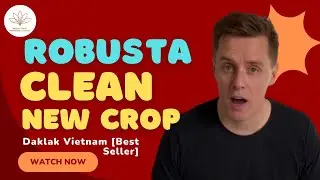 Robusta Clean New Crop | Grade 1 | Daklak Vietnam [Best Seller]