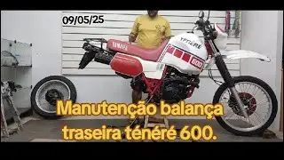 Revisão balança traseira ténéré 600.