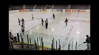 U13 Select Waterloo Wolves vs Dofasco Steelhawks