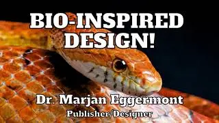 Ep. 15 Clip: Snakes and bio-inspired design!