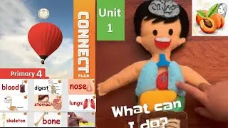 CONNECT PLUS Primary 4 L1 flash cards What can I do?  حصريا كونكت بلس 4