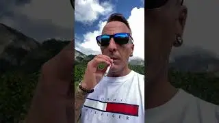 Afternoon Smoke