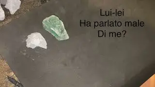 Lui-Lei Ha parlato male di me?