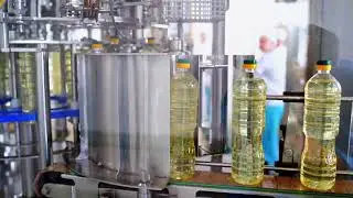 Bottling line of sunflower oil bottles