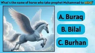 General Knowladge quiz Part 2|| Islamic quiz ||eman quizer|| without music