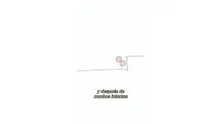 7 | PIECITO